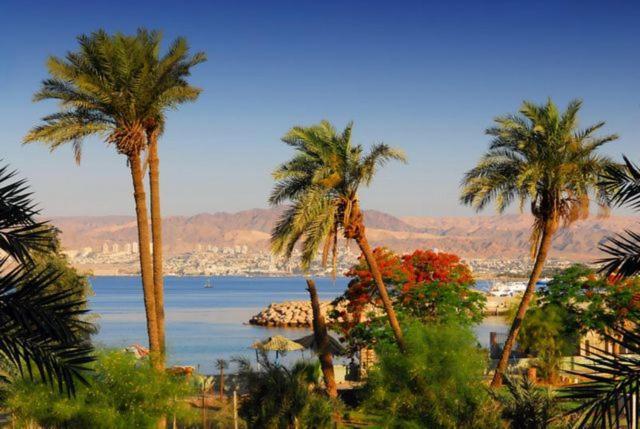 La Riva Hotel Aqaba Extérieur photo
